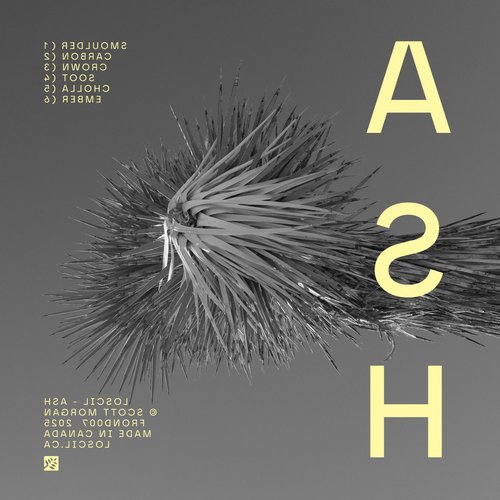 Ash