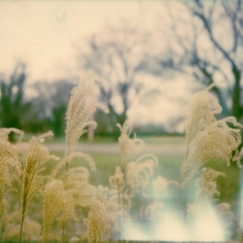 Murmuring - Single