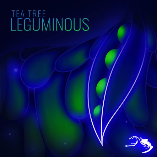 Leguminous