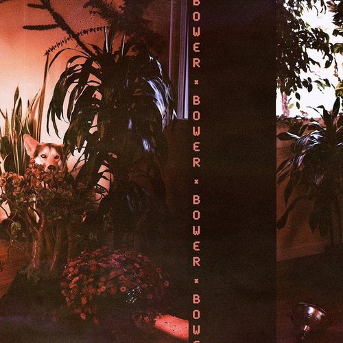 Bower - Single