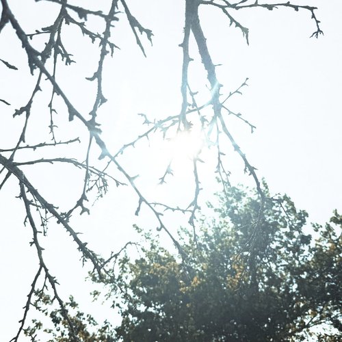 Move differently - Single