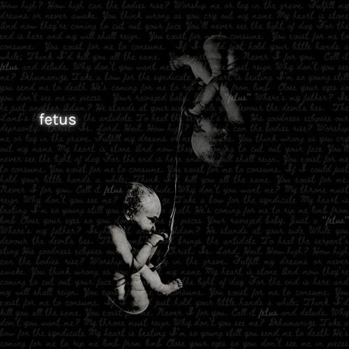 Fetus