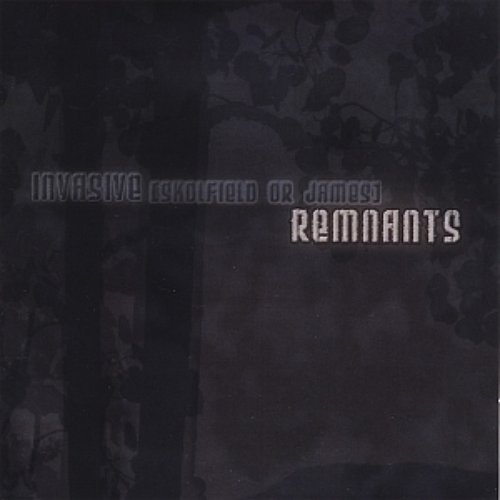 Remnants
