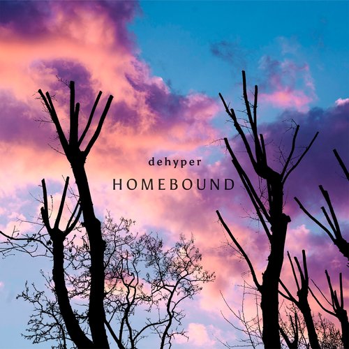 Homebound