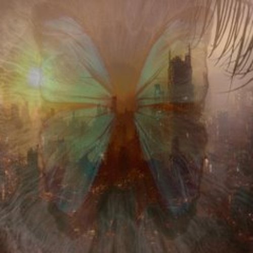 Image for playlist