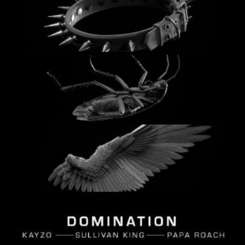DOMINATION