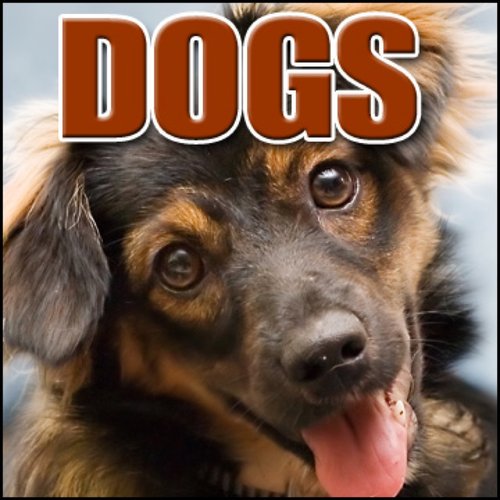 Dogs: Sound Effects
