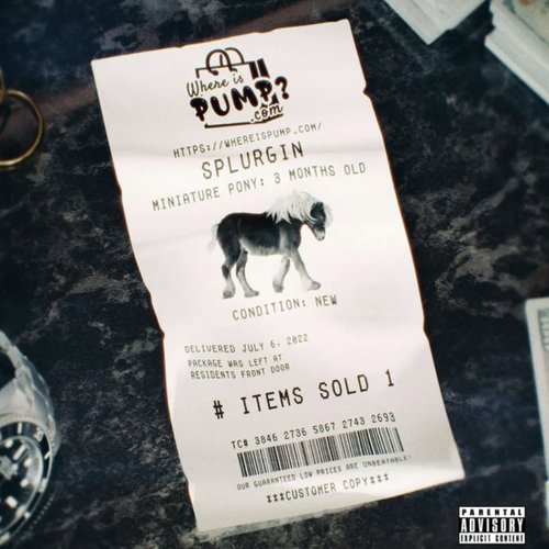 Splurgin
