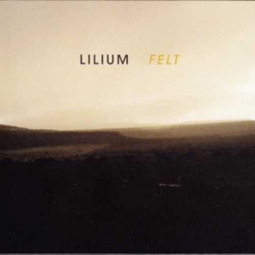 Felt