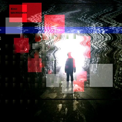 Microchasm