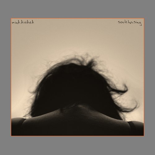 Soulchasing