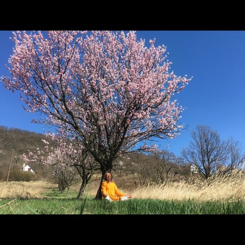 Endless Dance