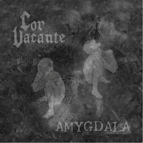 Amygdala