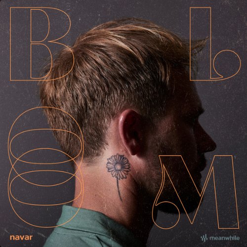 Bloom