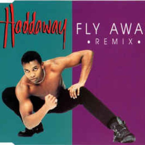 Fly Away (remixes)