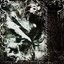 Shards of Shattered Memories