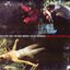 Where The Wild Roses Grow [Single]
