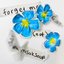 forget me (not)