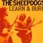 Learn and Burn