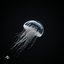 Hurricane