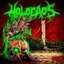 Holocaos