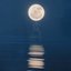Lunar Waves