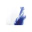 Fire/Isolate