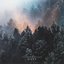 Dust - Single