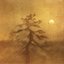 Songs Of Moors And Misty Fields