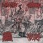 Inopexia / Endotoxaemia / Sebum Excess Production / Gruesome Bodyparts Autopsy