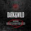 Dark  Wild