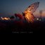 BUTTERFLY EFFECT