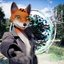 PORTALS