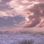 Moonfields