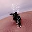 ビボウロク - Single