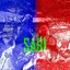 Sari