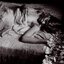 Nihiliste(s) Cd/Lp