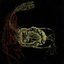 Arse Moreira / Beneath Low Flying Planes