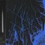 Belfer - Single