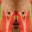 Candyman EP