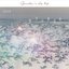 A Day Trip (Limited Edition)