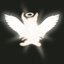 Angels All Around