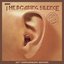 The Roaring Silence 50th Anniversary Edition