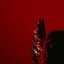 LUNA ROSSA [Explicit]