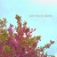 Pink Trees and Blue Skies