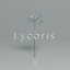 Lycoris
