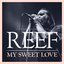 My Sweet Love