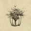 801 (demo)