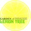 Lemon Tree