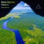 Downriver - Remixed II
